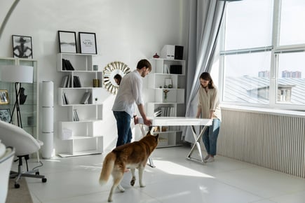 Man and woman moving furniture with dog